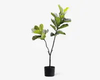 Høj kunstig plante med brede, blanke grønne blade, der sidder på flere slanke, brune stængler. Planten står i en enkel, rund sort potte. Bladene har en realistisk struktur og forskellige nuancer af grøn, hvilket giver et naturtro udseende. Velegnet til indendørs dekoration.