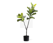 Høj kunstig plante med brede, blanke grønne blade, der sidder på flere slanke, brune stængler. Planten står i en enkel, rund sort potte. Bladene har en realistisk struktur og forskellige nuancer af grøn, hvilket giver et naturtro udseende. Velegnet til indendørs dekoration.