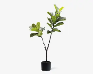 Høj kunstig plante med brede, blanke grønne blade, der sidder på flere slanke, brune stængler. Planten står i en enkel, rund sort potte. Bladene har en realistisk struktur og forskellige nuancer af grøn, hvilket giver et naturtro udseende. Velegnet til indendørs dekoration.