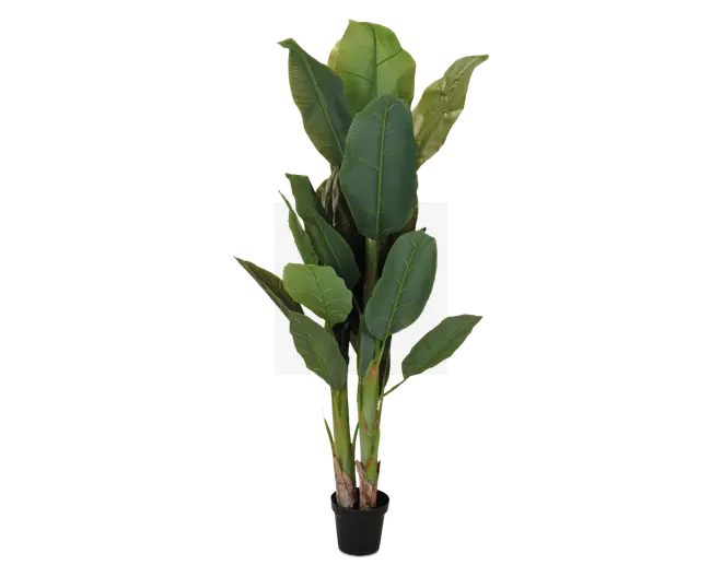 Høj kunstig plante med store, aflange grønne blade, der har realistiske årer og tekstur. Bladene er arrangeret i flere lag, hvilket giver et fyldigt og frodigt udseende. Planten står i en lille, enkel sort potte, og stænglerne har en naturlig farveovergang fra grøn til brun ved bunden.