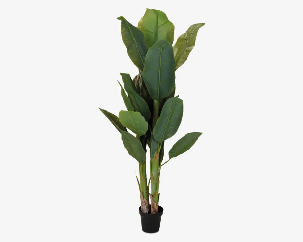 Høj kunstig plante med store, aflange grønne blade, der har realistiske årer og tekstur. Bladene er arrangeret i flere lag, hvilket giver et fyldigt og frodigt udseende. Planten står i en lille, enkel sort potte, og stænglerne har en naturlig farveovergang fra grøn til brun ved bunden.