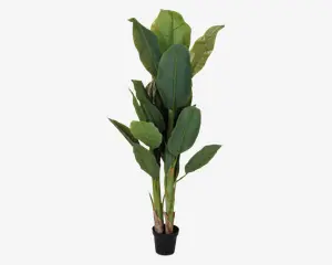 Høj kunstig plante med store, aflange grønne blade, der har realistiske årer og tekstur. Bladene er arrangeret i flere lag, hvilket giver et fyldigt og frodigt udseende. Planten står i en lille, enkel sort potte, og stænglerne har en naturlig farveovergang fra grøn til brun ved bunden.