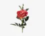 Rose stilk  ass 10x10x59 cm 