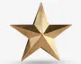 En femtakket stjerne i metallisk guld med et tredimensionelt, hævet design. Overfladen har en tekstureret, hamret finish, hvilket giver den et let ru udseende. Hver spids på stjernen er skarpt defineret, og stjernen har en blank, reflekterende kvalitet.