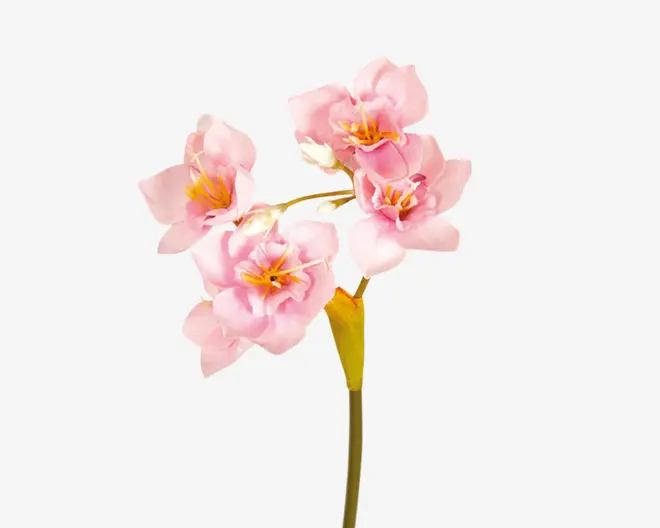 Kunstig blomsterstilk med fire store, sarte lyserøde blomster med gule og orange midter. Kronbladene har en blød, realistisk tekstur og fine farveovergange, og stilken er grøn med et enkelt blad nær blomsterne.