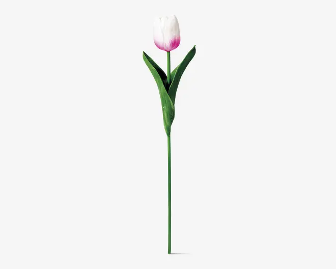Tulipaner plast 10 stk.