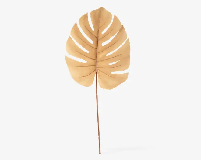 Stilk Monstera sand H.61 cm 