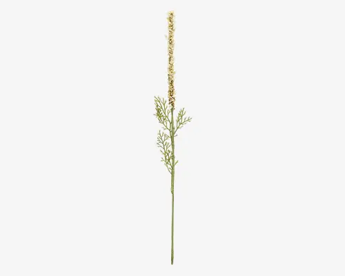 En enkelt kunstig blomsterstilk med en høj, slank blomsterstand dækket af små, cremefarvede blomster. Stilken har fine, fjerlignende grønne blade, der breder sig under blomsterstanden og giver et naturligt og let udtryk. Det samlede udseende er elegant og velegnet til minimalistiske blomsterarrangementer eller dekorative udstillinger.