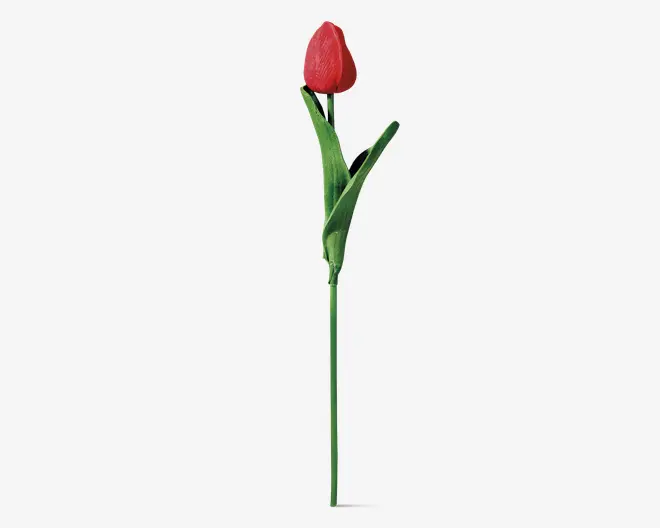 Tulipaner plast 10 stk.