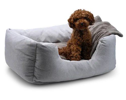 Hundekurv/sofa beige