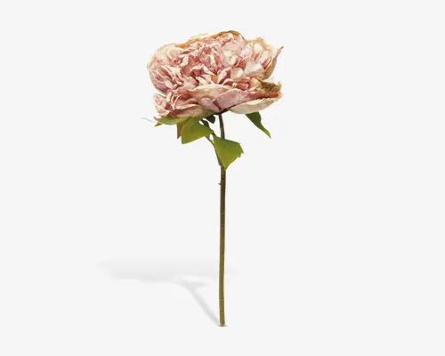 Kunstig blomsterstilk med en stor, fyldig pæonblomst i blid rosa med diskrete creme- og lysegrønne nuancer. Kronbladene er tætpakkede og giver et realistisk, tekstureret udseende. Stilken er lang og slank med flere grønne blade, hvilket efterligner udseendet af en frisk pæon.