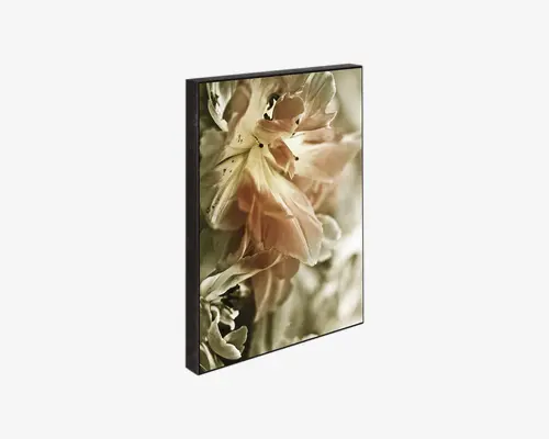 Indrammet vægkunst med et nærbillede af bløde, pastelfarvede blomster med fine kronblade. Billedet har en dæmpet, sepiafarvet tone, hvilket giver det et vintage og elegant udtryk. Rammen er slank og sort, hvilket giver en moderne kontrast til det sarte blomsterdesign.