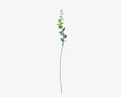 En enkelt lang stilk med skiftevis runde, sølvgrønne blade, der sidder tæt sammen. Bladene har en glat overflade og et let skinnende udseende, hvilket giver stilken et friskt og naturligt præg. Stilkens form er slank og opret, med en diskret farveovergang fra lyse til mørkere grønne nuancer.