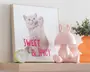 Billede kitten - Sweet & spicy