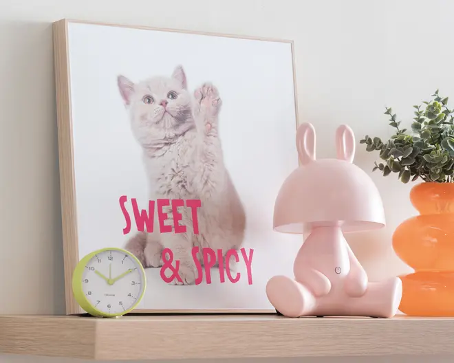 Billede kitten - Sweet & spicy