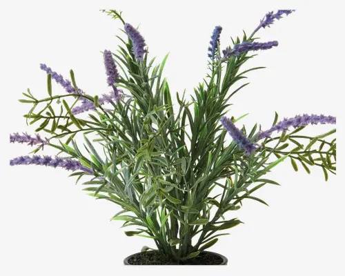 Lavendel Potte Plastik H.30 cm