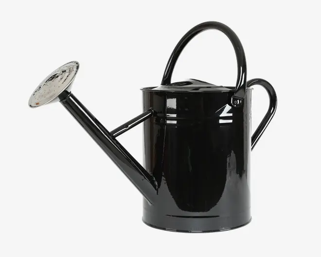 En blank sort metalkande med et stort, buet håndtag på toppen og et mindre håndtag bagpå for nem transport og hældning. Den har en lang, skrå tud, der ender i en aftagelig, rund spreder med mange små huller for blid vandfordeling. Designet er klassisk og funktionelt, velegnet til både indendørs og udendørs brug.