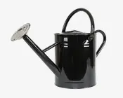 En blank sort metalkande med et stort, buet håndtag på toppen og et mindre håndtag bagpå for nem transport og hældning. Den har en lang, skrå tud, der ender i en aftagelig, rund spreder med mange små huller for blid vandfordeling. Designet er klassisk og funktionelt, velegnet til både indendørs og udendørs brug.