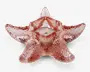 Et dekorativt fyrfadsstage formet som en søstjerne, lavet af lyserødt glas med en nubret overflade, der giver et realistisk udtryk. Stagen har et centralt hulrum, der passer til et lille fyrfadslys, som er tændt på billedet. Glasset er gennemsigtigt og lader lyset skinne blødt igennem.