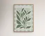 Indrammet botanisk kunstværk med afdæmpede grønne blade og lyse blomster, omgivet af et blødt ternet mønster i salviegrøn, creme og grå, i en lys træramme.