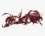En dekorativ guirlande med metalliske, rødglitrende bregneformede blade. Guirlanden har en skinnende, glitrende overflade og er fleksibel, så den kan formes eller hænges op efter ønske. Bladene har udskårne detaljer, hvilket giver et elegant og festligt udtryk, der egner sig til jule- eller festpynt.