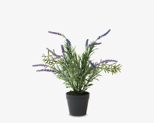 Kunstig potteplante med lange, slanke grønne blade og flere stængler, der afsluttes med klaser af små, lilla blomster. Planten er placeret i en enkel, mat sort potte, og løvet er tæt, hvilket giver et frodigt og fyldigt udtryk. Blomsterne har en realistisk tekstur og farveforløb, der efterligner naturlig lavendel.