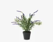 Lavendel Potte Plastik H.30 cm