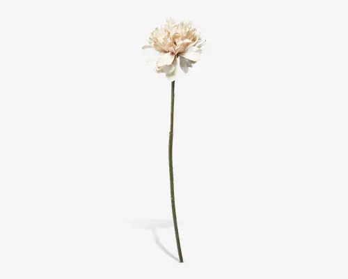 Kunstig blomsterstilk med en stor, fyldig blomst, der har lagdelte kronblade i bløde creme- og rosa nuancer. Kronbladene har en let bølget struktur, hvilket giver et realistisk og elegant udtryk. Den lange, slanke grønne stilk er lige og glat, velegnet til høje vaser eller blomsterdekorationer.