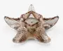 En dekorativ lysestage formet som en søstjerne, lavet af tekstureret glas med en gennemsigtig, lysebrun nuance. Lysestagen har et centralt hulrum, der passer til et lille fyrfadslys, og overfladen er dækket af forhøjede knopper, der efterligner en søstjernes naturlige udseende.