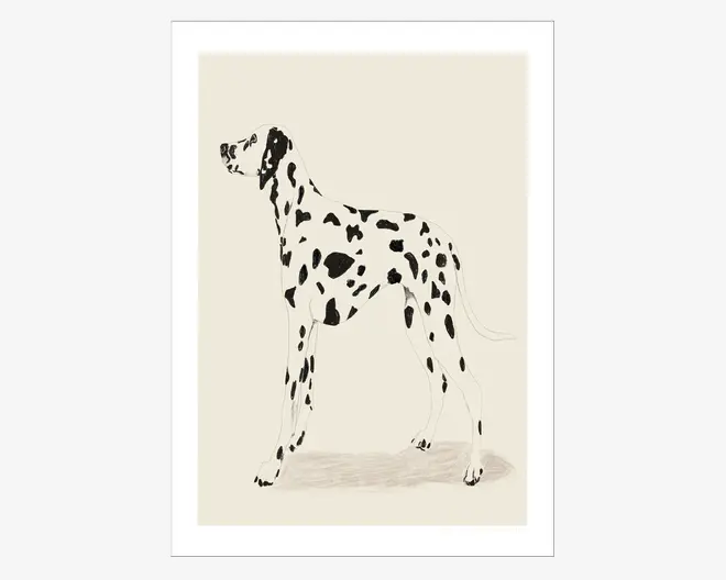 Plakat Jenny Liz Dalmation
