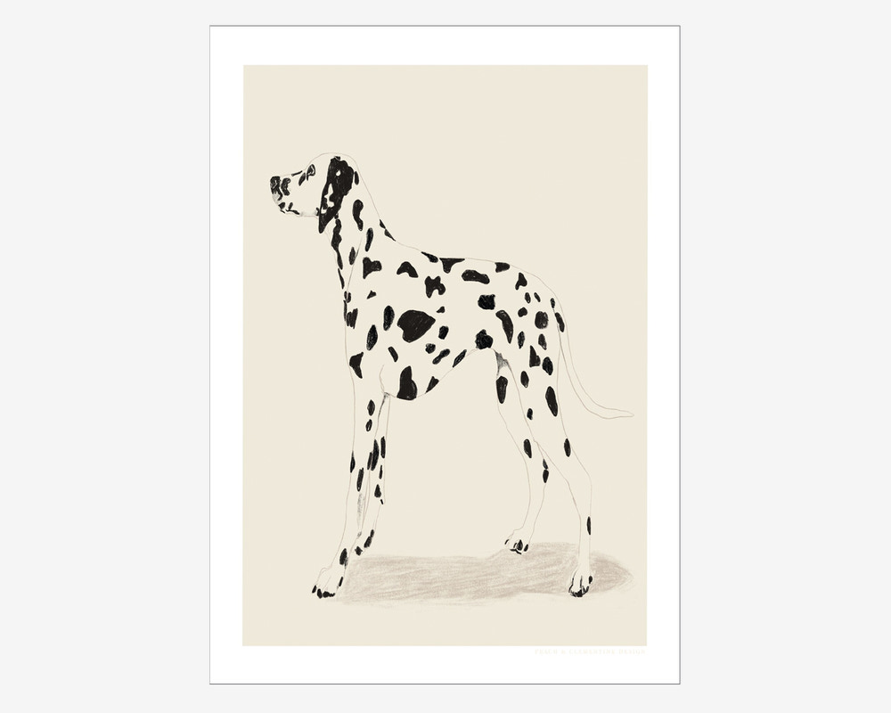 Plakat Jenny Liz Dalmation