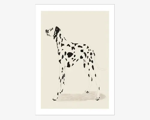 Minimalistisk illustration af en dalmatinerhund, der står i profil og vender mod venstre. Hunden har en slank krop, lange ben og en lang hale. Pelsen er hvid med uregelmæssige sorte pletter fordelt over kroppen, benene og hovedet. Baggrunden er ensfarvet lysebeige, og billedet er omgivet af en hvid kant, hvilket giver et rent og moderne udtryk.