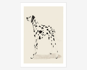 Plakat Jenny Liz Dalmation