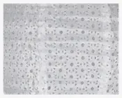 Solar rispapirs lampe beige Ø.22 cm 