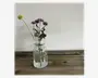 Hyacint Glas Vase H.15