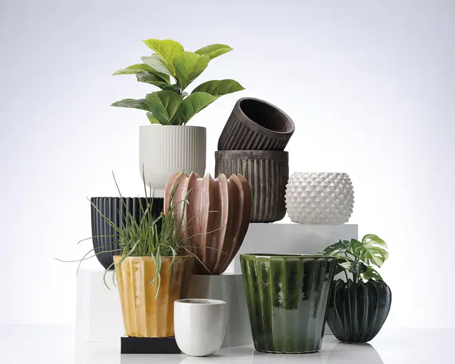 En samling keramiske urtepotter i forskellige former, størrelser og farver. Potterne har forskellige overfladestrukturer, herunder riflede, rillede og piggede designs. Farverne spænder fra hvid, sort og brun til gul, grøn og lyserød. Nogle potter har blanke overflader, mens andre er matte. Flere af potterne indeholder grønne planter, hvilket viser deres anvendelse til indendørs beplantning.