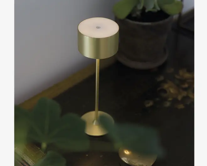 En moderne, minimalistisk lampe med en cylindrisk skærm og fod i guldfarvet metal, forbundet af en slank guldfarvet stang. Lampen har en touch-knap på toppen til betjening og et elegant, metallisk finish. Den står på en mørk træoverflade ved siden af en potteplante.