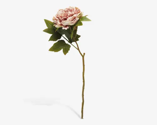 Kunstig blomsterstilk med en stor, fyldig pæonblomst, der har lagdelte kronblade i bløde nuancer af lyserød og creme. Stilken er lang og slank med flere realistiske grønne blade, der forgrener sig under blomsten. Kronbladene har en let bølget struktur, og bladene har naturtro årer for et mere autentisk udseende.
