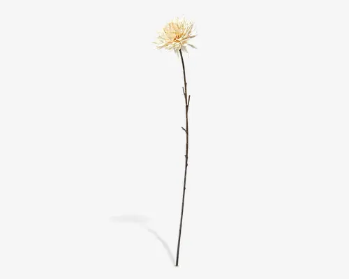 Kunstig blomsterstilk med en stor, cremefarvet dahlia-blomst med lagdelte kronblade og realistisk tekstur. Den lange, slanke stilk er brun med diskrete grønne nuancer og små, naturtro blade. Det samlede design efterligner udseendet af en friskplukket dahlia, velegnet til dekorative arrangementer.