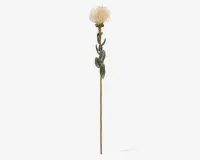 Stilk Protea hvid H.73 cm 