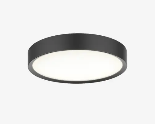 Rund loftlampe med en mat sort metalramme og en bred, flad, matteret diffuser, der giver jævn og blændfri belysning. Designet er minimalistisk og moderne, hvilket passer til forskellige indretninger.