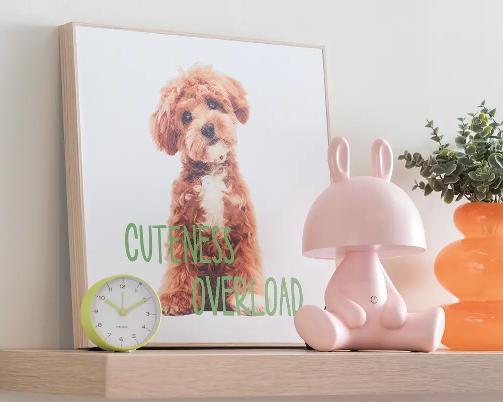 Billede puppy - Cuteness overload