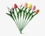 Tulipaner plast 10 stk.