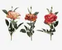 Rose stilk  ass 10x10x59 cm 