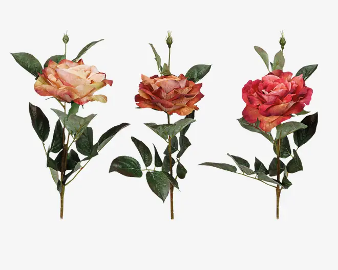 Rose stilk  ass 10x10x59 cm 