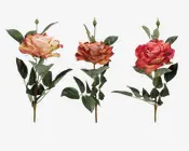 Rose stilk ass 10x10x59 cm