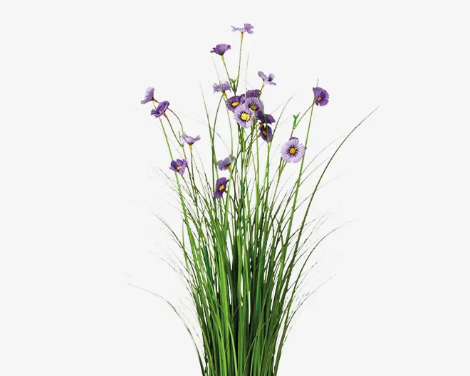 Høje, slanke grønne stængler med smalle, græslignende blade, toppet med små, fine lilla blomster med gule midter. Blomsterne er spredt ud langs stænglerne, hvilket giver et let og luftigt udtryk.