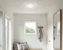 Rund, plan loftlampe med hvid, frostet diffuser og smal sølvkant.