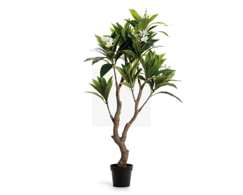 Kunstig plante med flere robuste, naturtro brune stammer, der vokser ud fra en sort potte. Planten har tætte klynger af blanke grønne blade og flere hvide blomster med gule centre, hvilket giver et realistisk og livligt udseende. Løvet er arrangeret, så planten fremstår fyldig og frodig, velegnet til indendørs dekoration.
