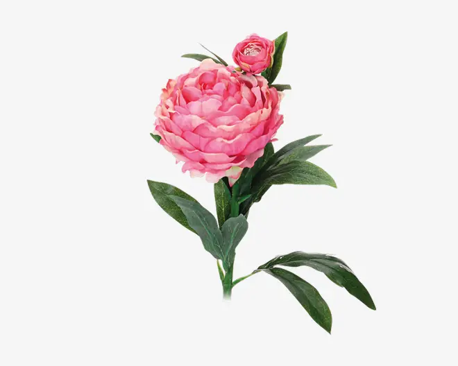 Pæon stilk ass 17x17x61 cm 